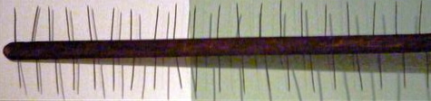 herring rake